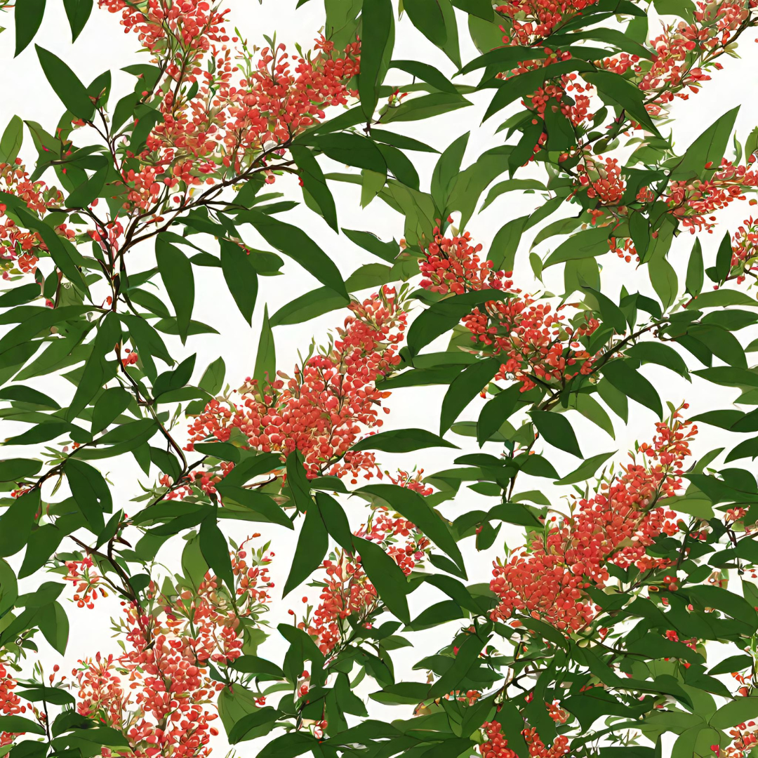 Heavenly Bamboo Bush