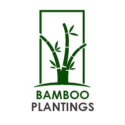 bamboo plantings logo