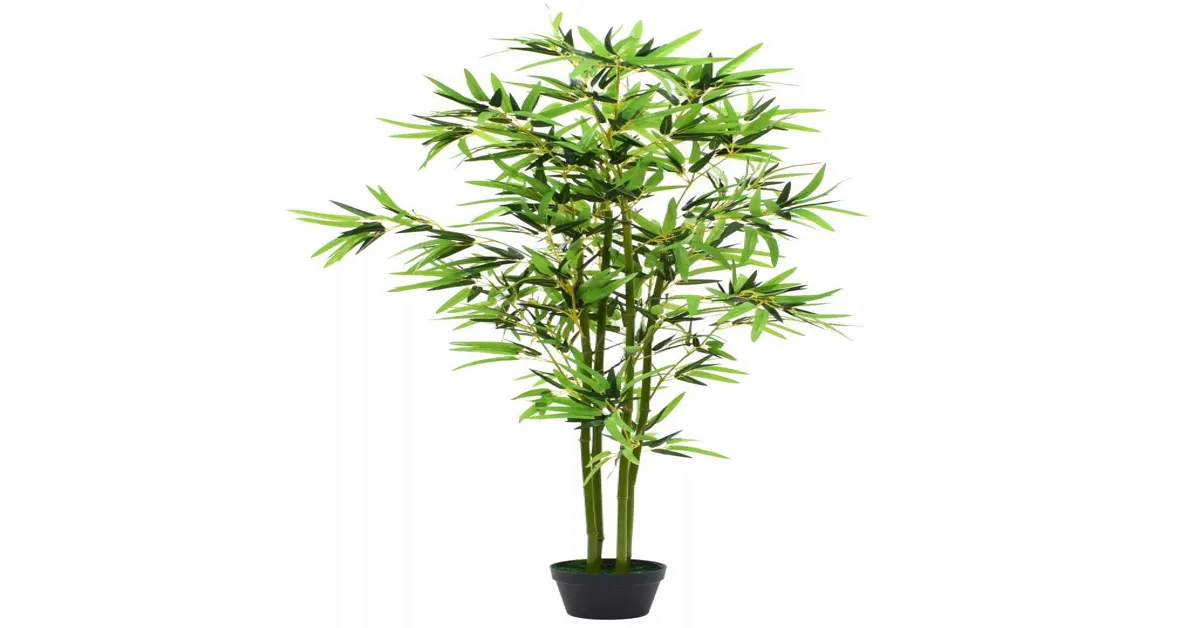 home depot bamboo plant